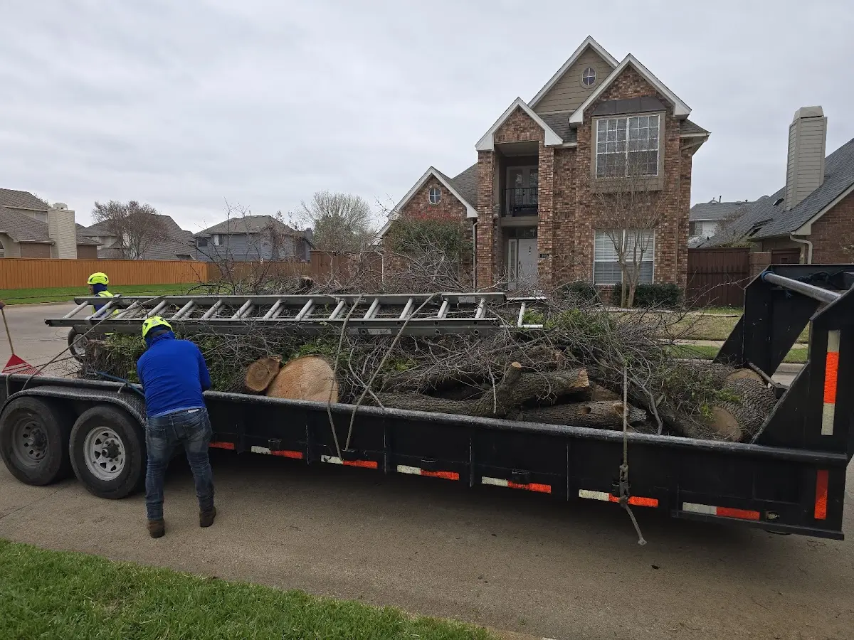 Expert Lot Clearing with proper safety equipment in Winchester